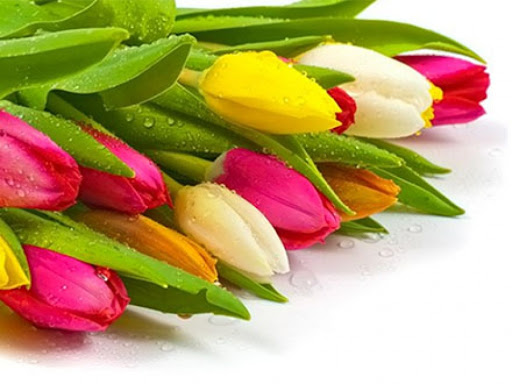 8 марта - Международный женский день