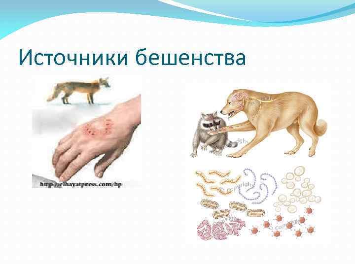 Орыс үйдегі секс анасы мен баласы