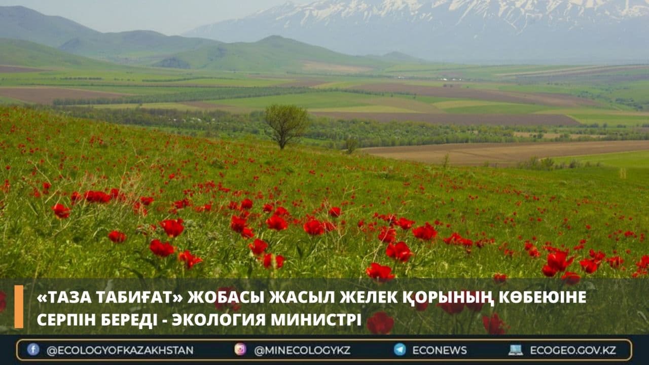 «Таза табиғат» жобасы жасыл желек қорының көбеюіне серпін береді - Экология министрі