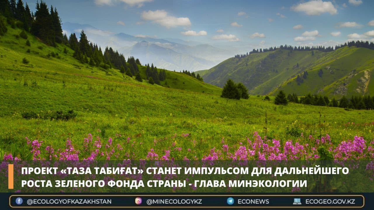 Проект «Таза табиғат» станет импульсом для дальнейшего роста зеленого фонда страны - Глава минэкологии
