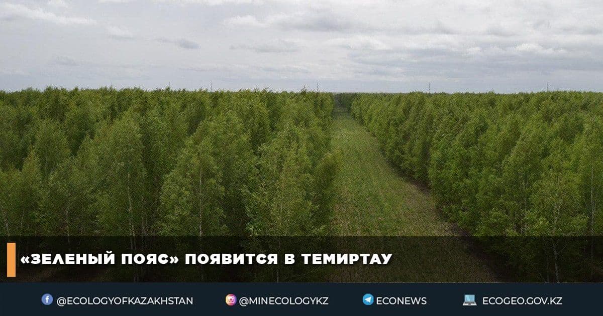 «Зеленый пояс» появится в Темиртау