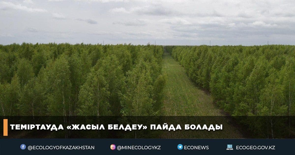 Теміртауда «Жасыл белдеу» пайда болады