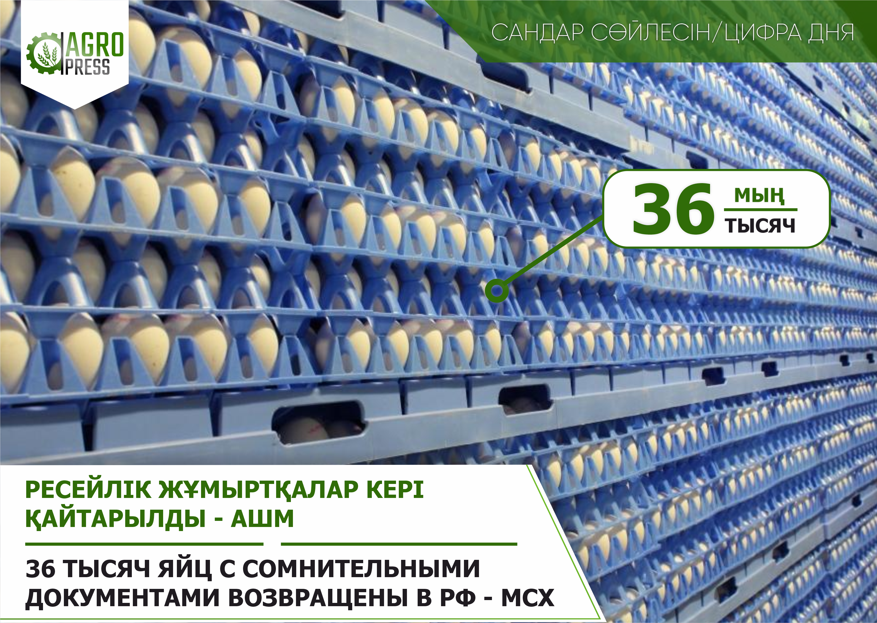 36 тысяч яйц с сомнительными документами возвращены в РФ - МСХ