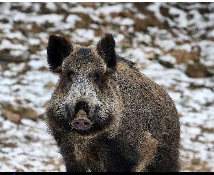 Жас өзбек әйелдер порно Жынды әйелмен жыныстық қатынас