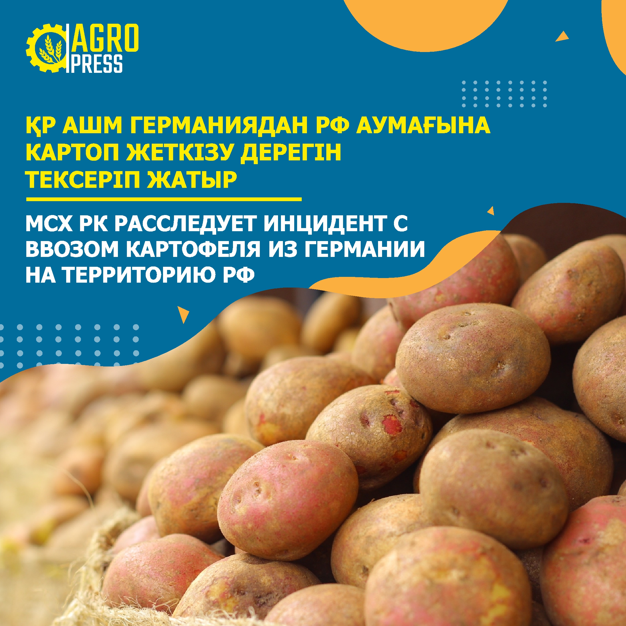 МСХ РК расследует инцидент с ввозом картофеля из Германии на территорию РФ