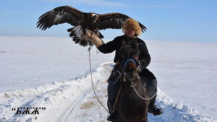 Семіз жопа порно бет онлайн