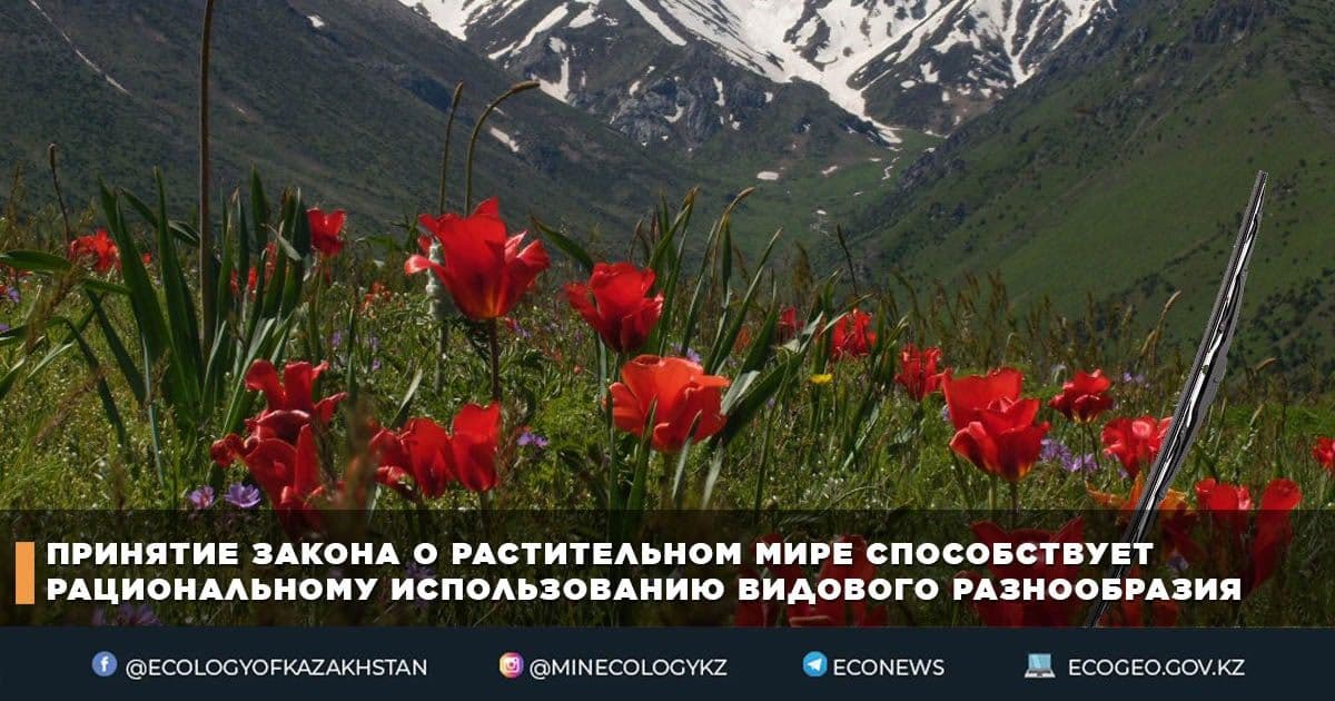 Принятие закона о растительном мире способствует рациональному использованию видового разнообразия