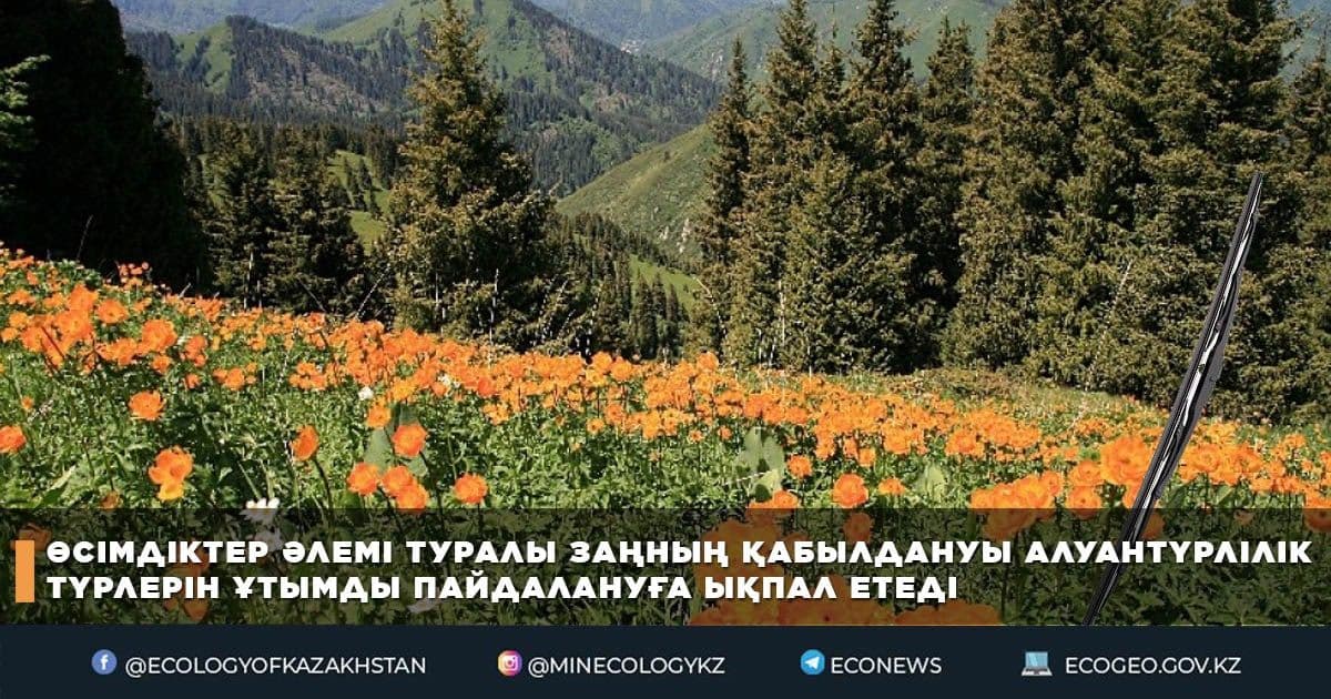 Өсімдіктер әлемі туралы Заңның қабылдануы алуантүрлілік түрлерін ұтымды пайдалануға ықпал етеді