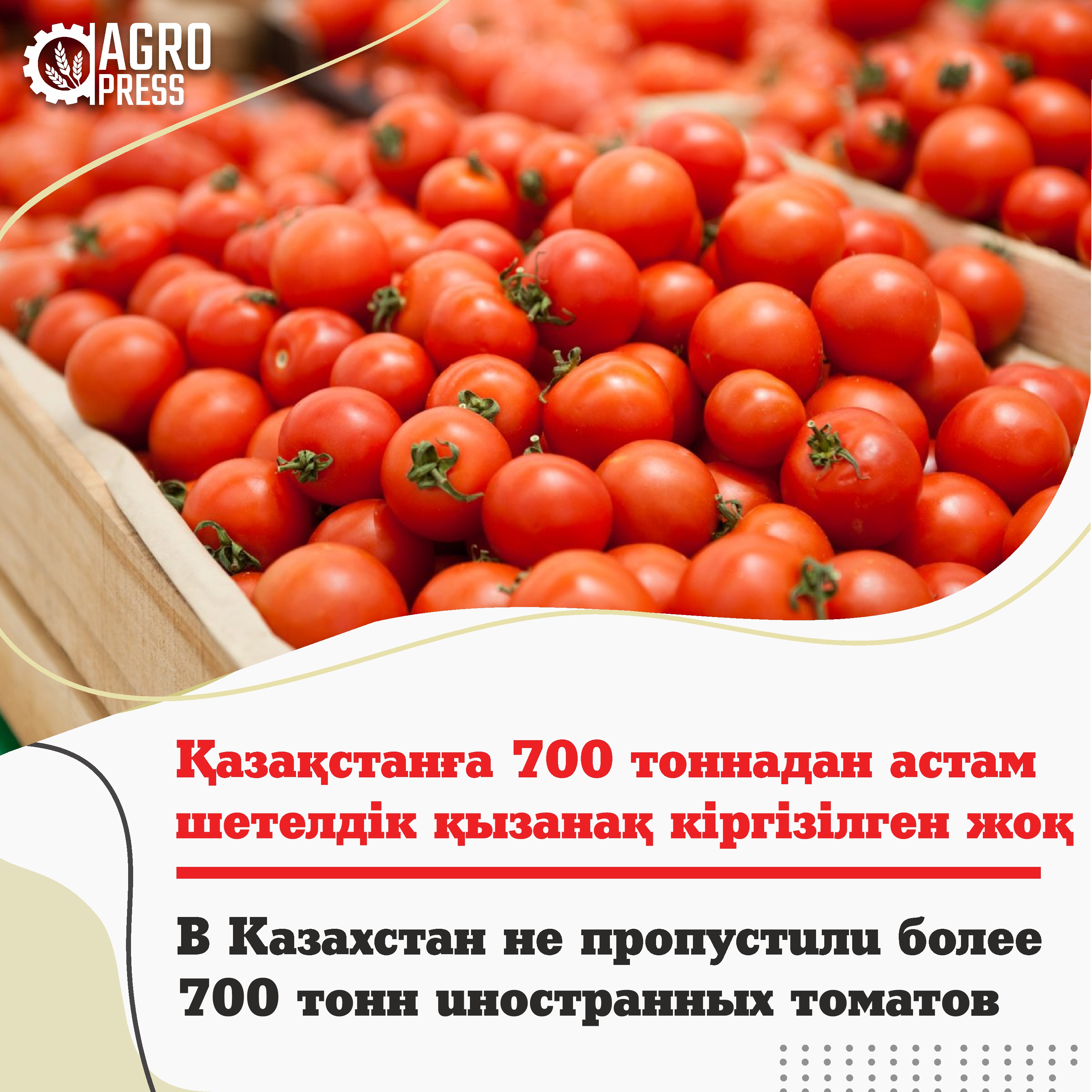 В Казахстан не пропустили более 700 тонн иностранных томатов