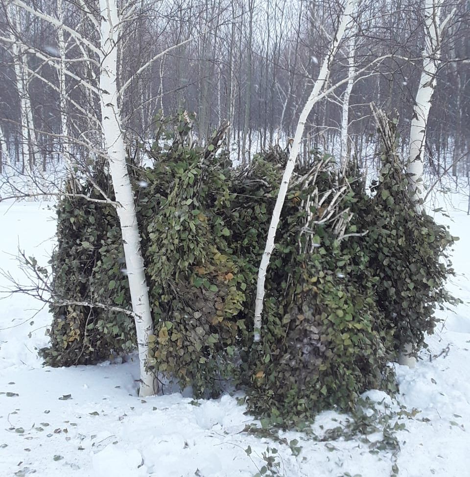 Жабайы жануарларға көмектесу үшiн
