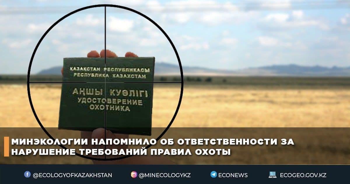 Минэкологии напомнило об ответственности за нарушение требований правил охоты