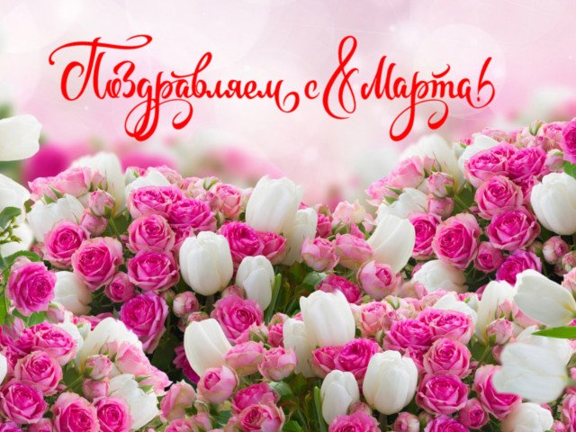 Құрметті ханымдар!