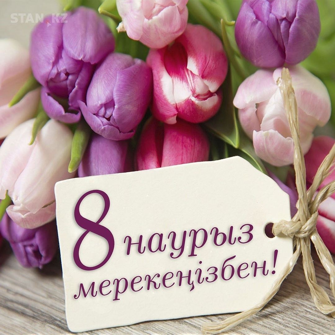 Несса Ібіліс фильмдері