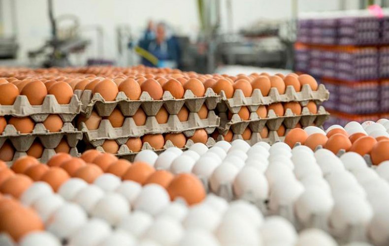 В Алматы установлена предельная цена на куриные яйца