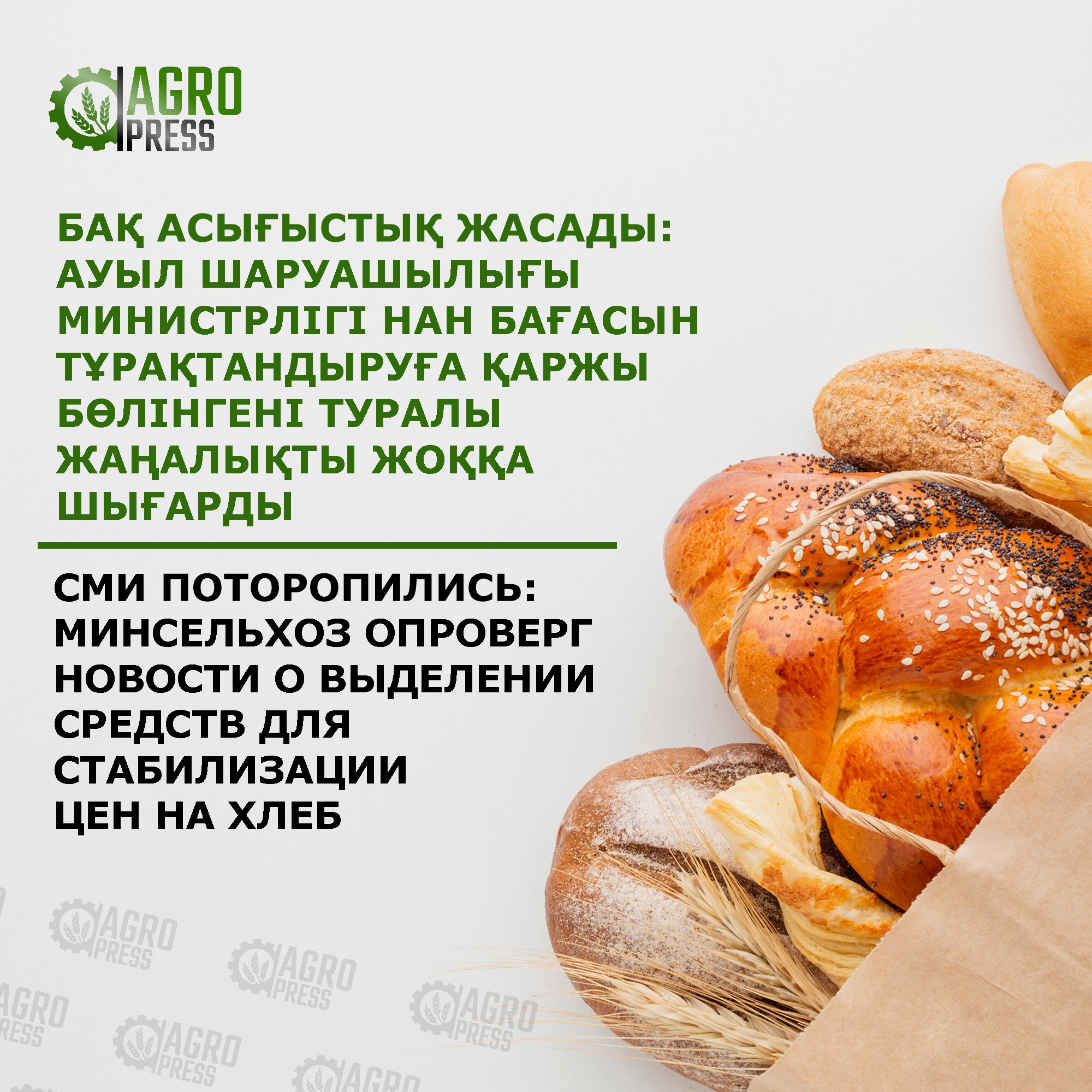 БАҚ асығыстық жасады: Ауыл шаруашылығы министрлігі нан бағасын тұрақтандыруға қаржы бөлінгені туралы жаңалықты жоққа шығарды