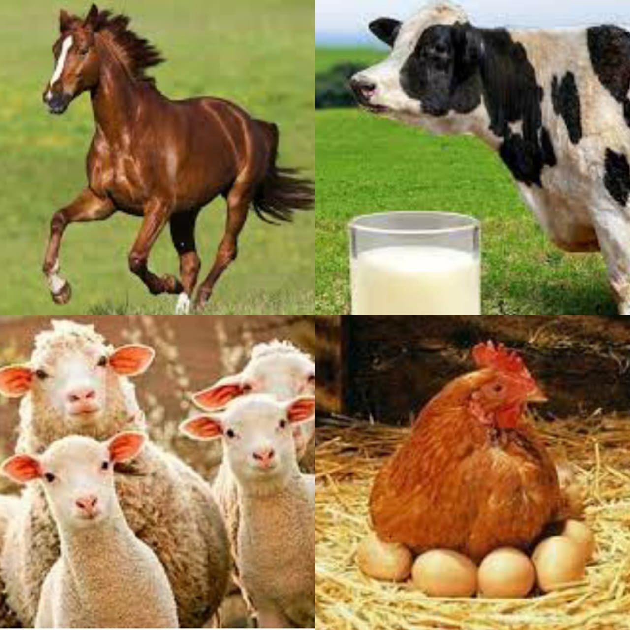 Баскетбол ойнап жүрген жалаңаш қыздар Толық қыздардың ит стилі