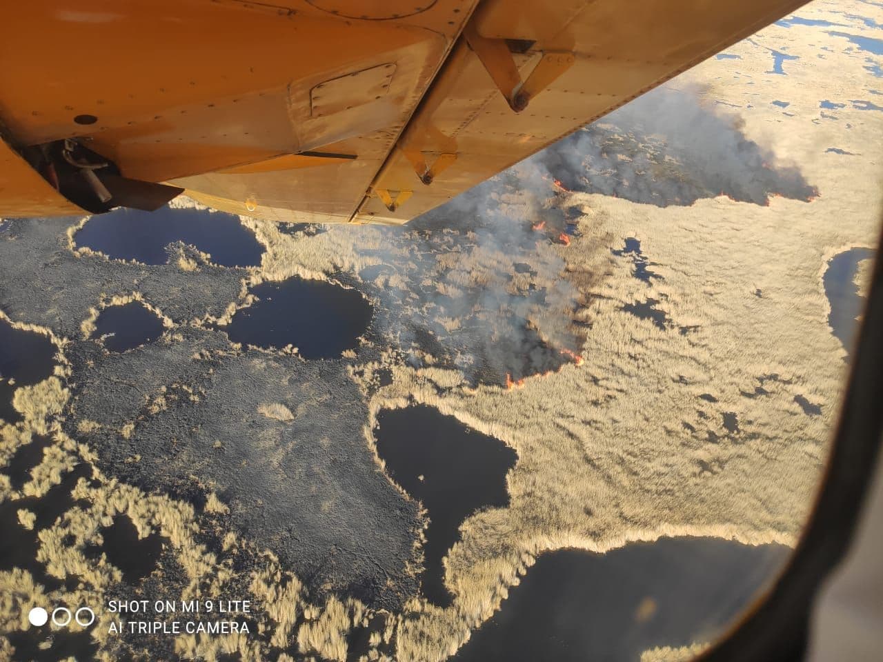 Алматы облысы Балқаш ауданы аумағындағы дала, орман өрті  туралы шұғыл ақпарат
