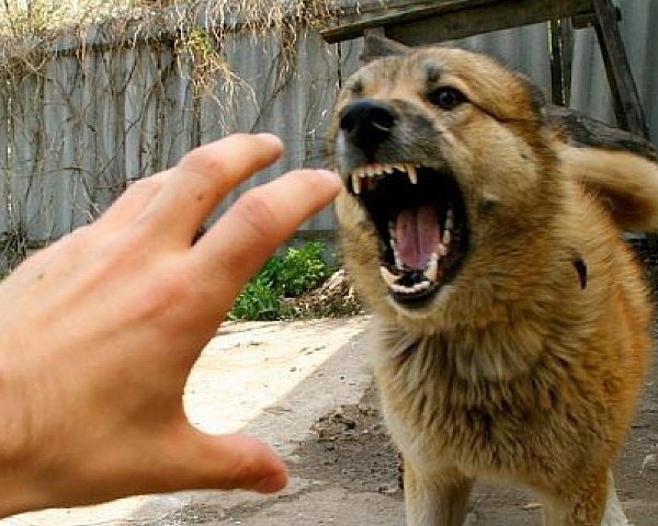 Семіз лесбиянки бар қырынбаған письки