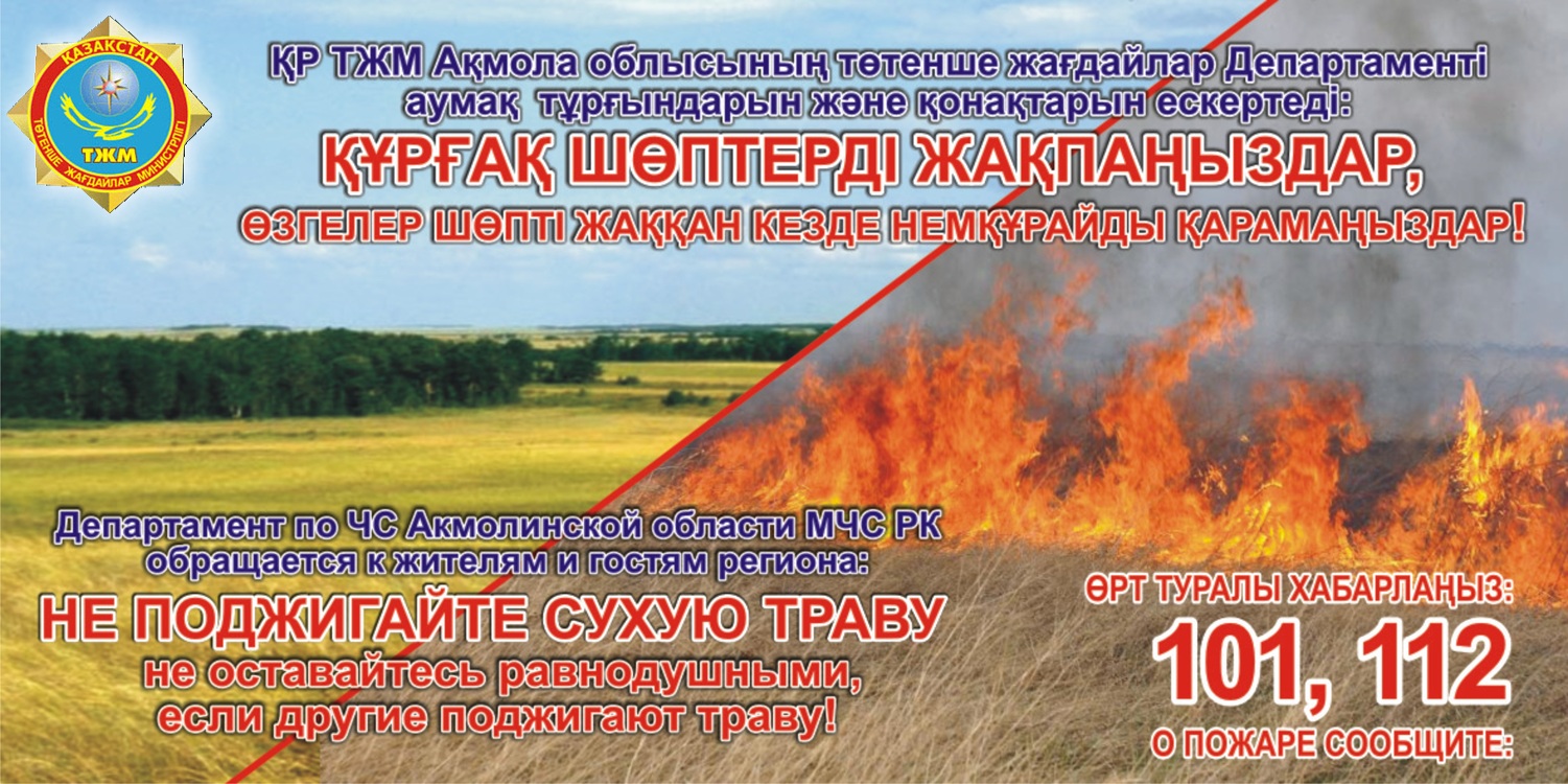 Порно фм страпон