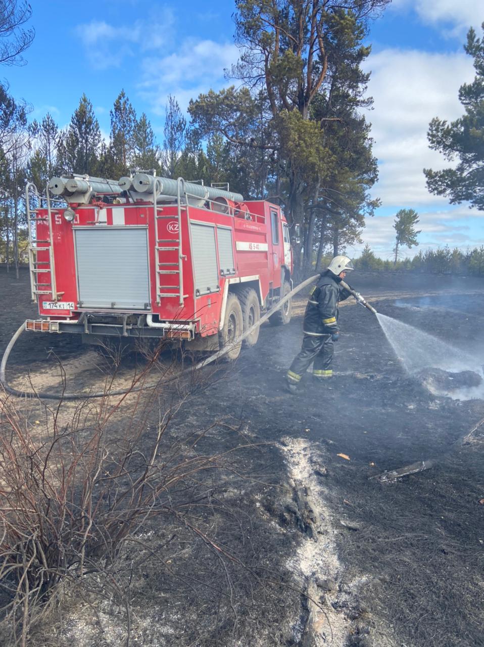 Пожар в резервате «Ертіс орманы» в Павлодарской области локализован