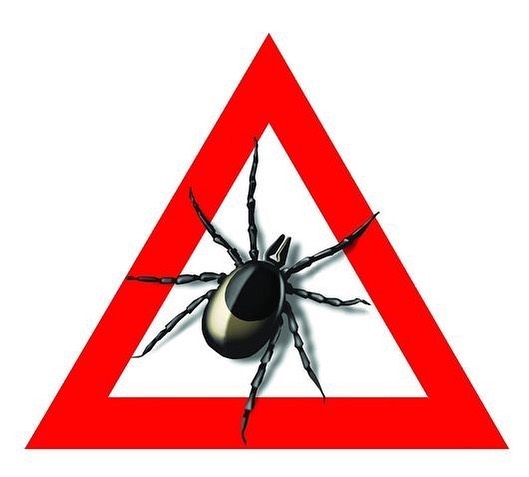 Лара Крофт Табиғаттағы үштік секс, жалғыз қыз