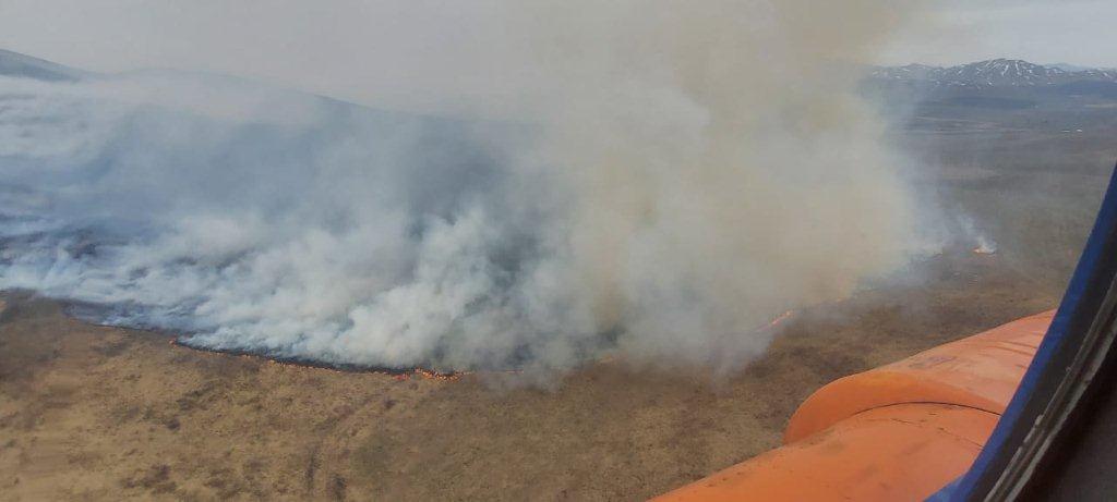Крупное загорание травы локализовано спасателями и лесниками в районе Алтай
