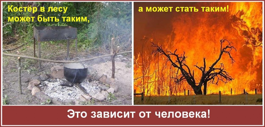 Мен орманда тез тамақтандым.