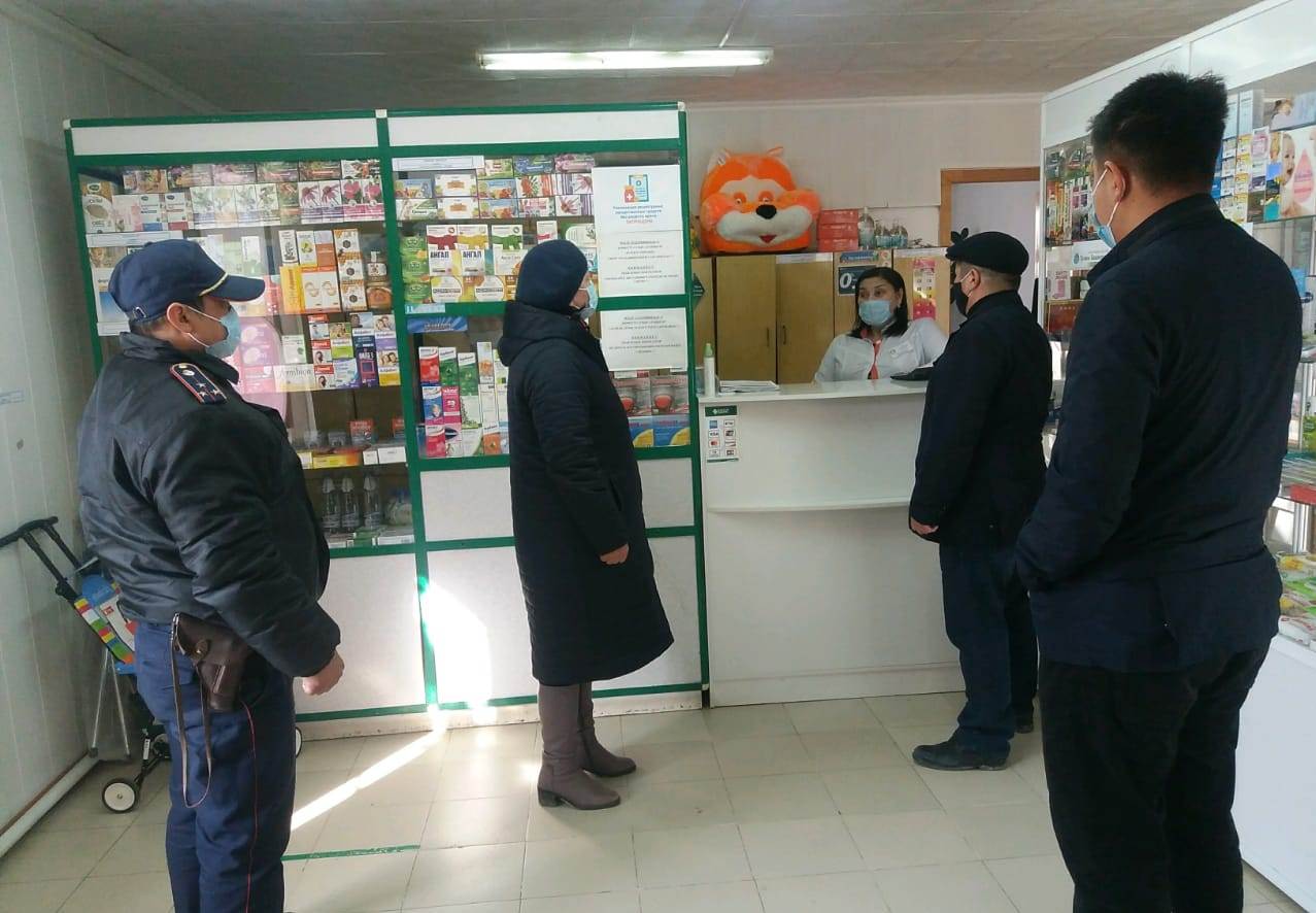 Мониторингтік топтар жұмысы