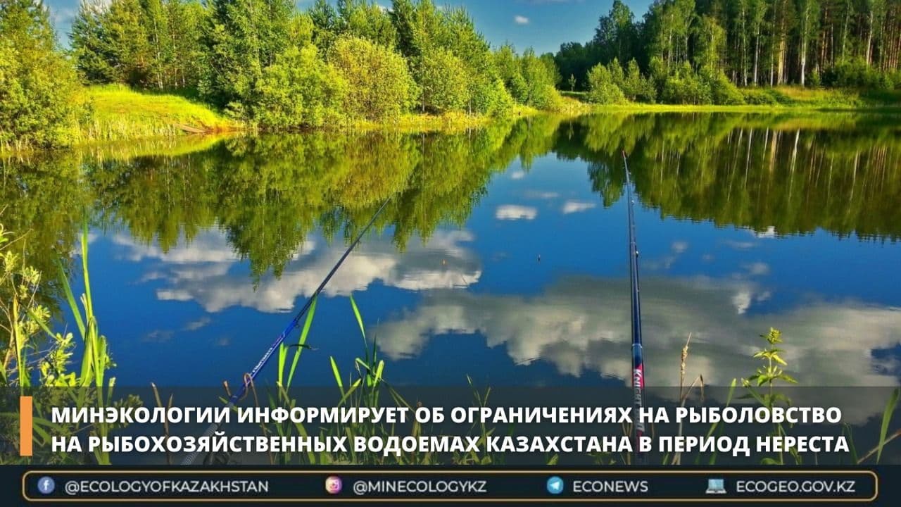 Минэкологии информирует об ограничениях на рыболовство на рыбохозяйственных водоемах Казахстана в период нереста