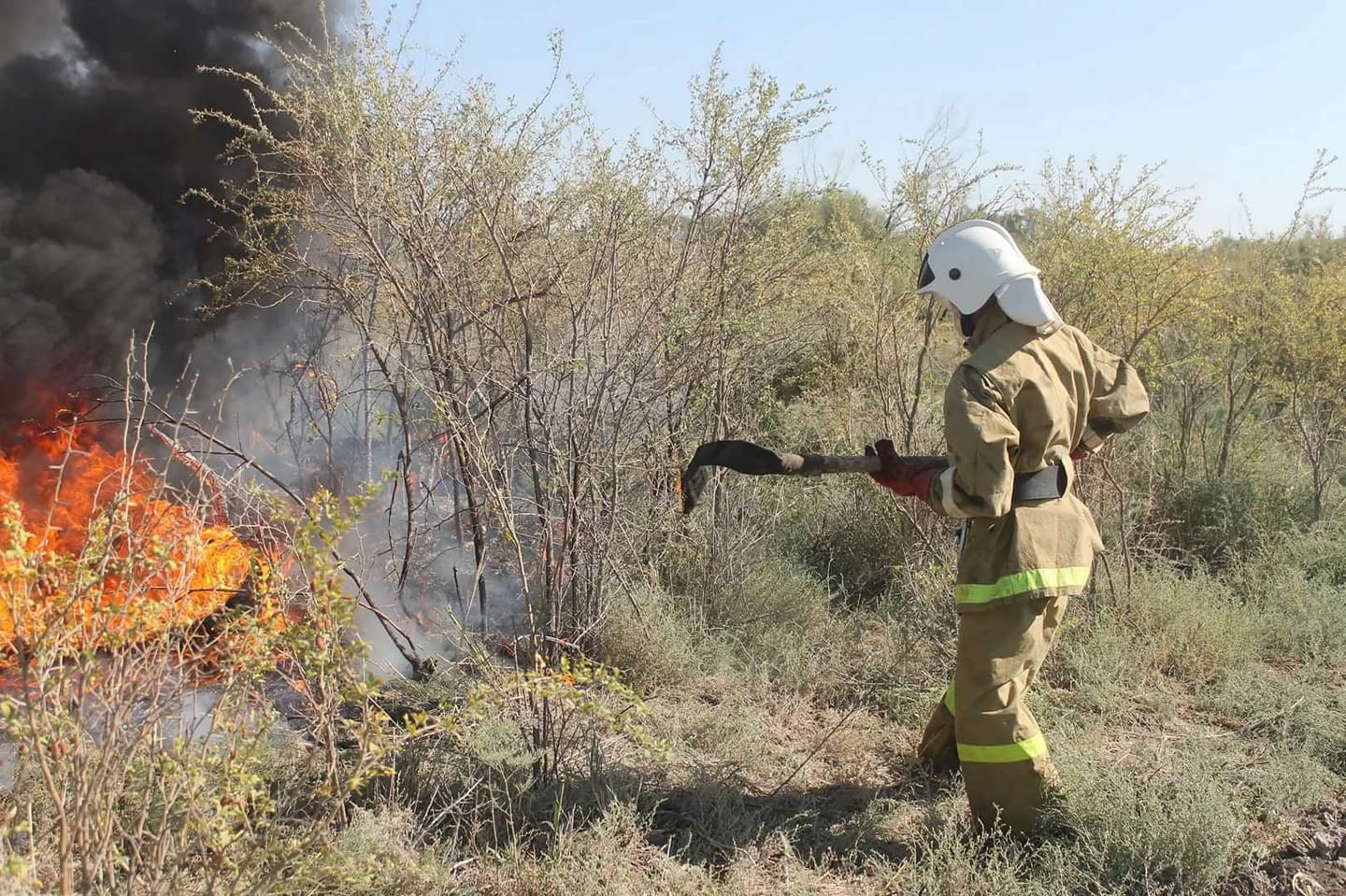 Since april 1, a fire season has been established on the territory of the forest fund of the region