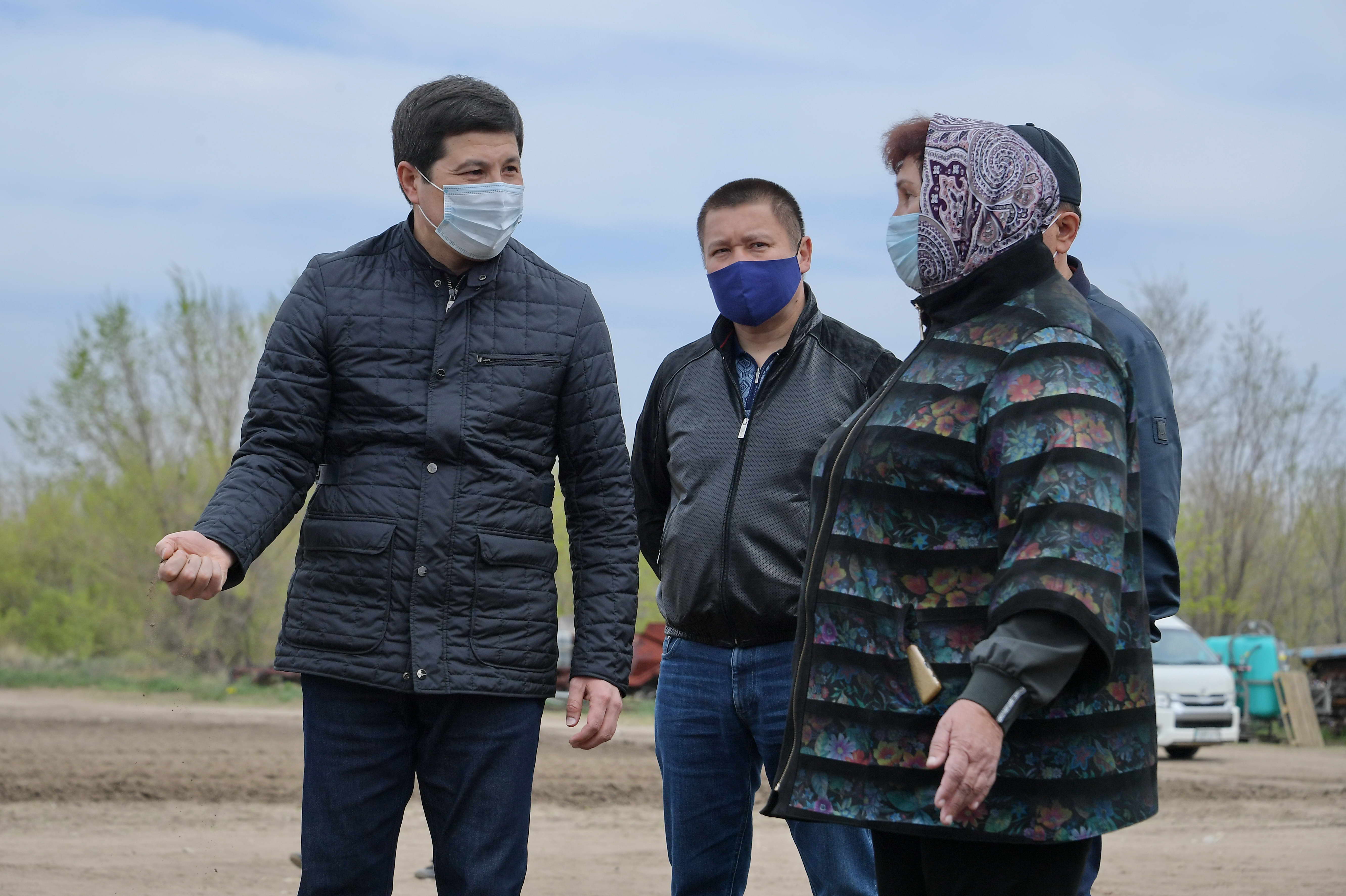 Павлодарские овощеводы завершают посевную кампанию