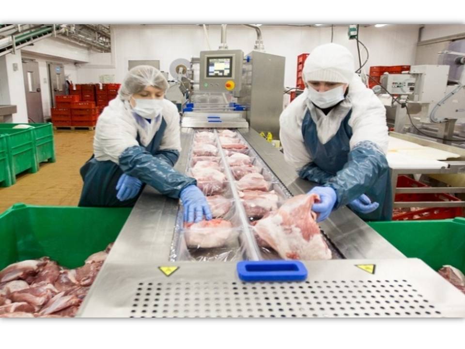 "Modernization of the slaughterhouse and construction of a meat processing plant"