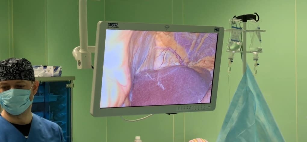 София Ротарудың мысығы өсіп кеткен.