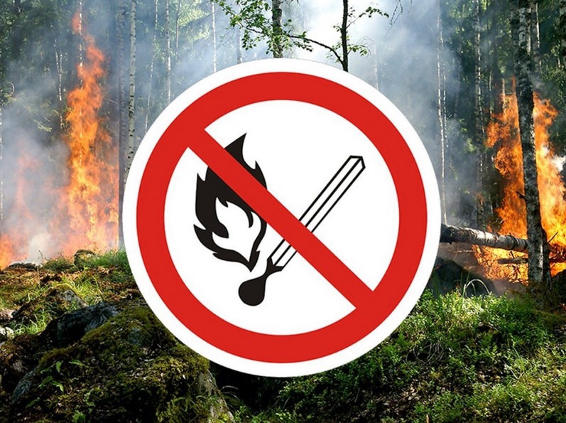 Лесосибирскідегі порно