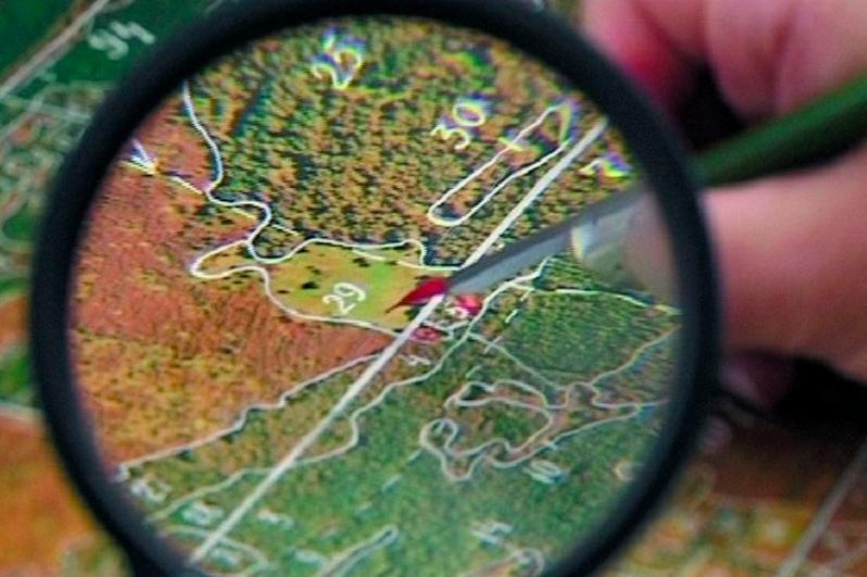 Қара әйелдің кискасының ұзындығы қанша?