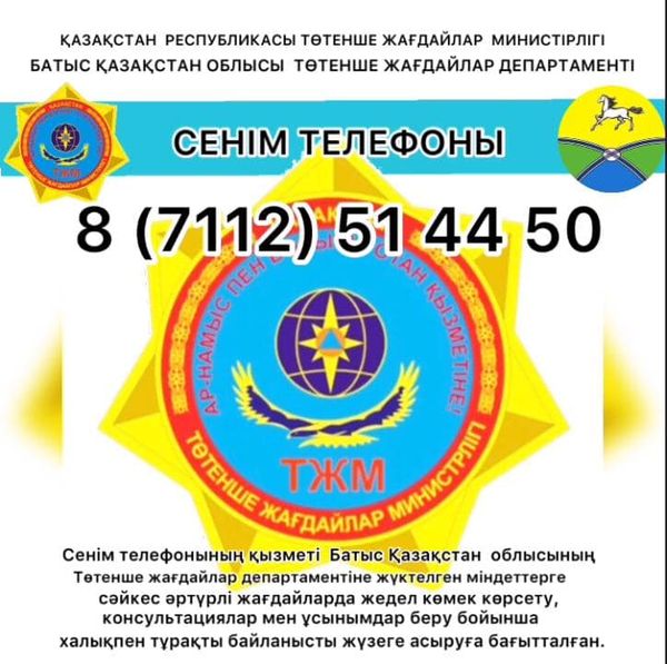 Порно актрисаны күйеуі соққыға жыққан.