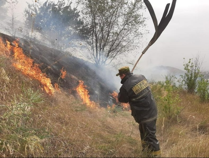 Зиянды әсер туралы білмеңіз!