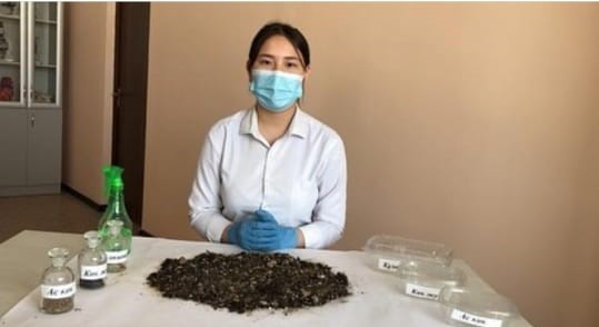 Дүниежүзілік Жер күніне арналған «Туған Жер» челленджі