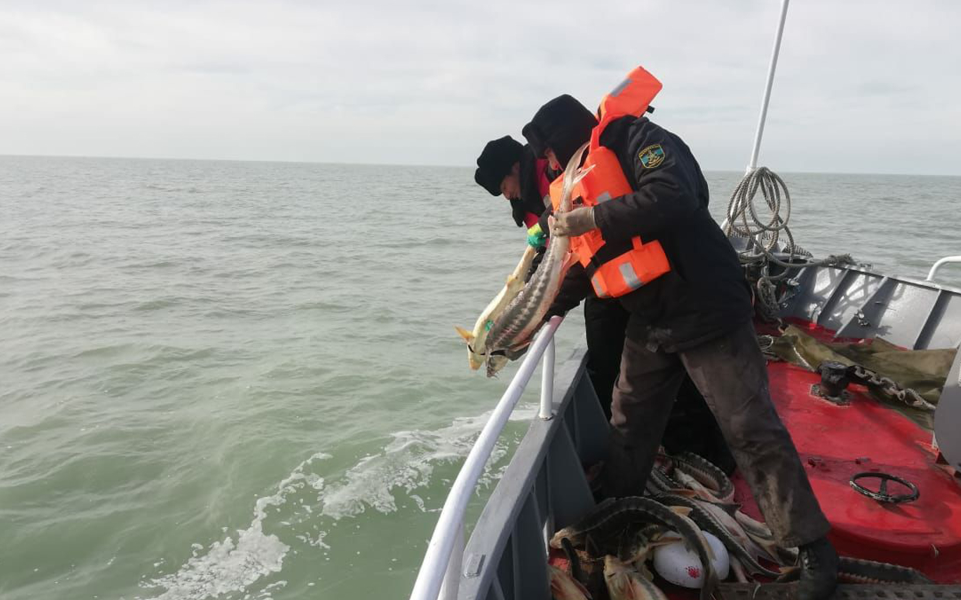 О результатах широкомасштабной рыбоохранной акции «Бекіре»