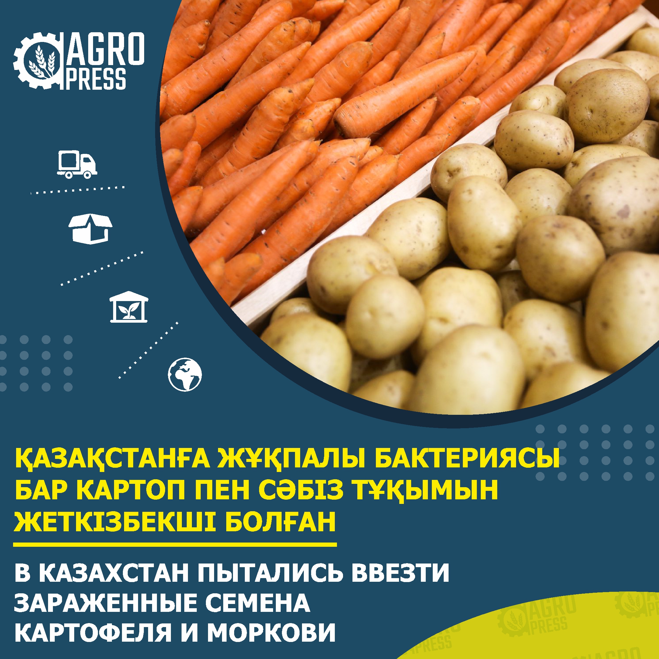В Казахстан пытались ввезти зараженные семена картофеля и моркови