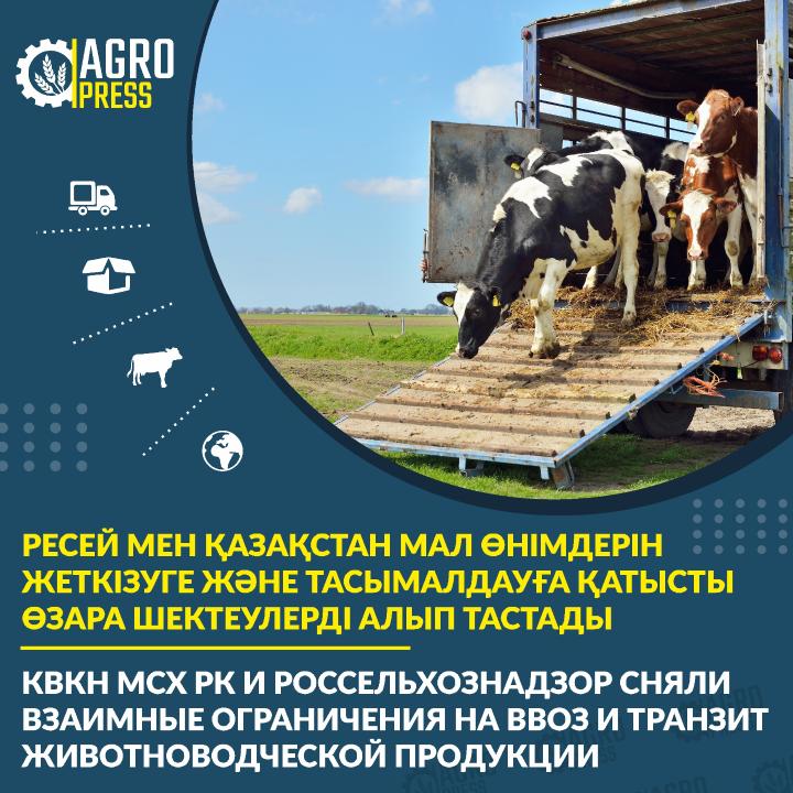 Ресей мен Қазақстан мал өнімдерін жеткізуге және тасымалдауға қатысты өзара шектеулерді алып тастады