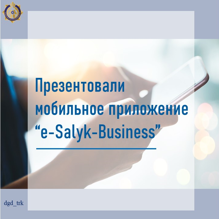“e-Salyk-Business” Mobile Application Presentation