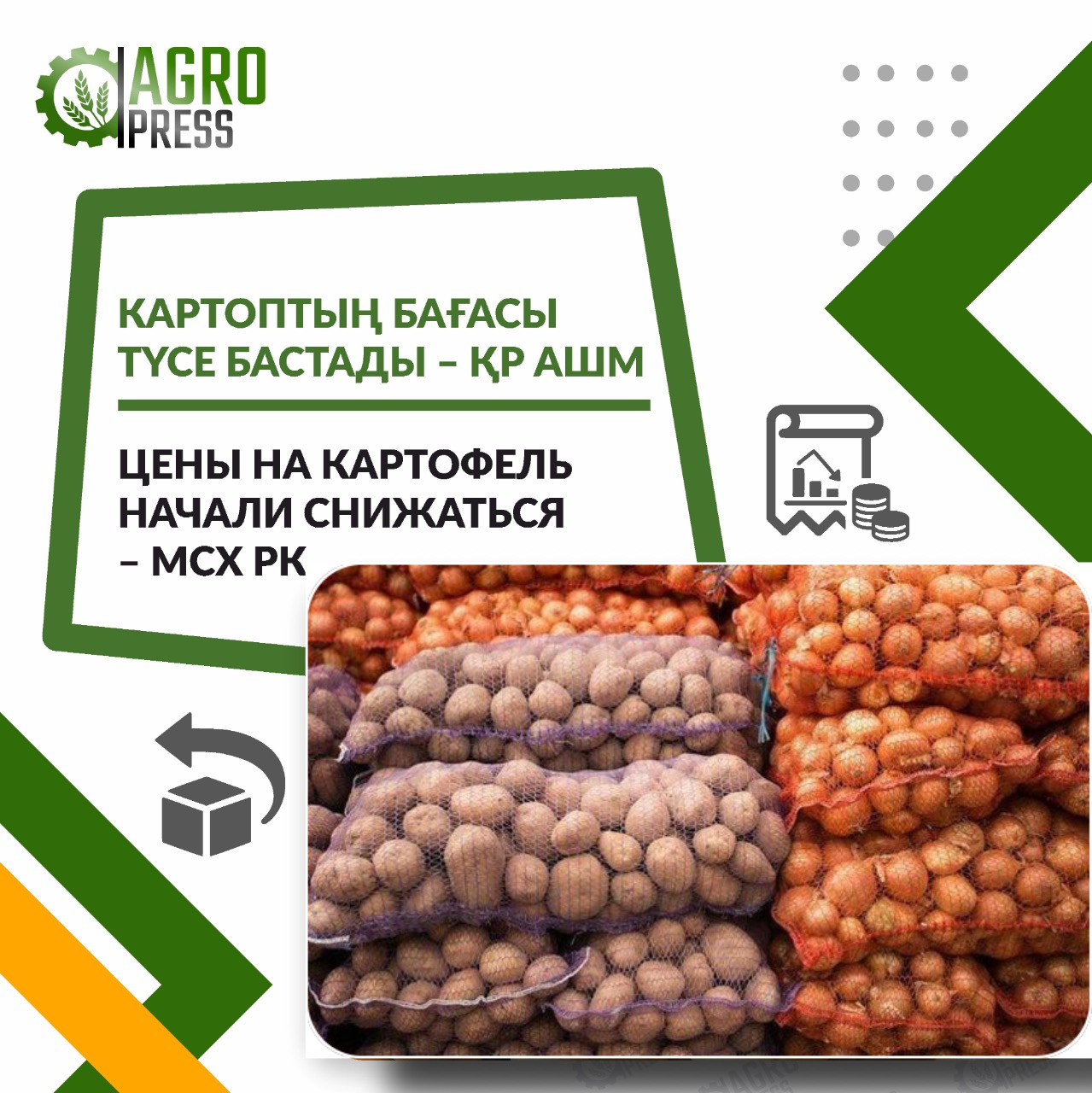 Цены на картофель начали снижаться – МСХ РК