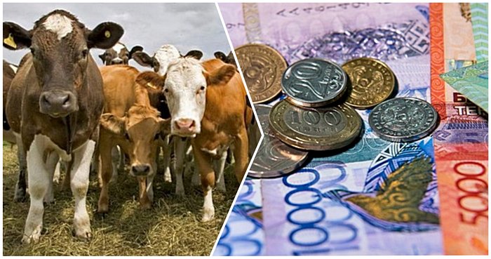 We urge you to contribute to the formation of a fair system of subsidies