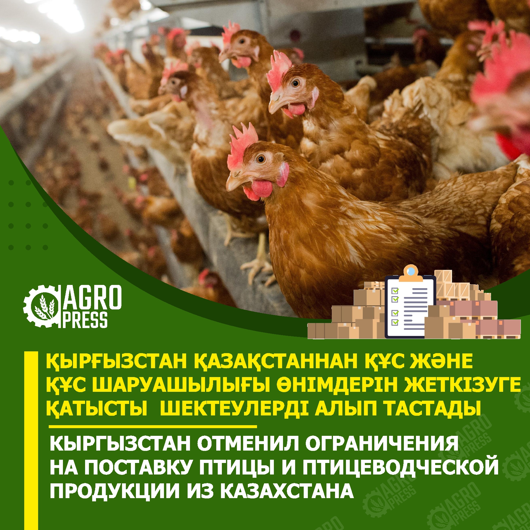 Кыргызстан отменил ограничения на поставку птицы и птицеводческой продукции из Казахстана