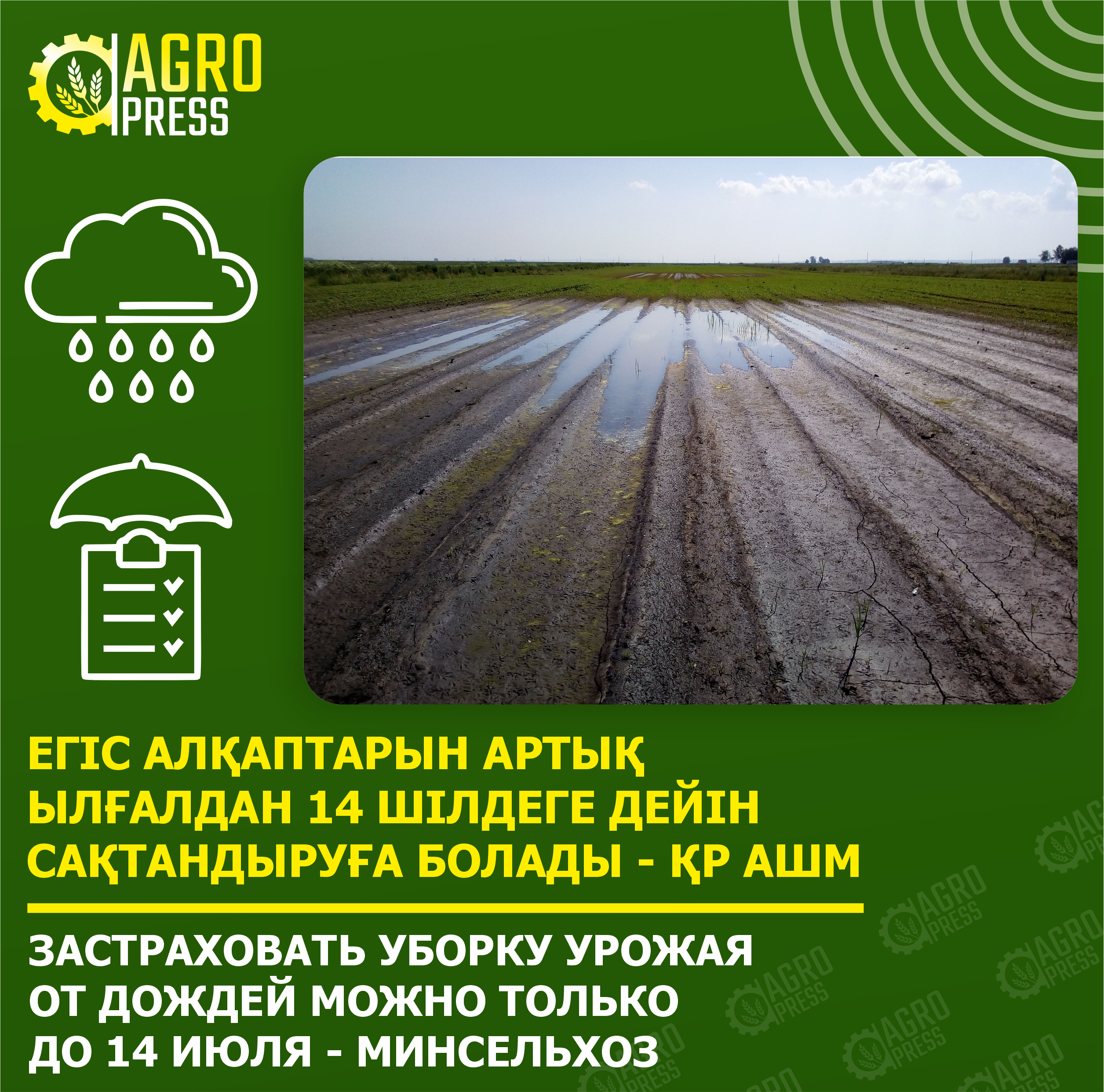 Застраховать уборку урожая от дождей можно только до 14 июля - Минсельхоз