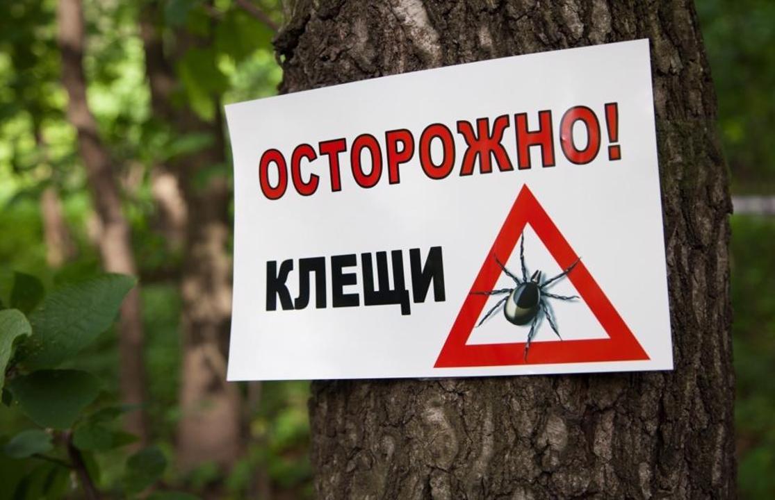 Жазғы сауықтыру ұйымдарының, санаториялық-курорттық мекемелердің, базалар мен...