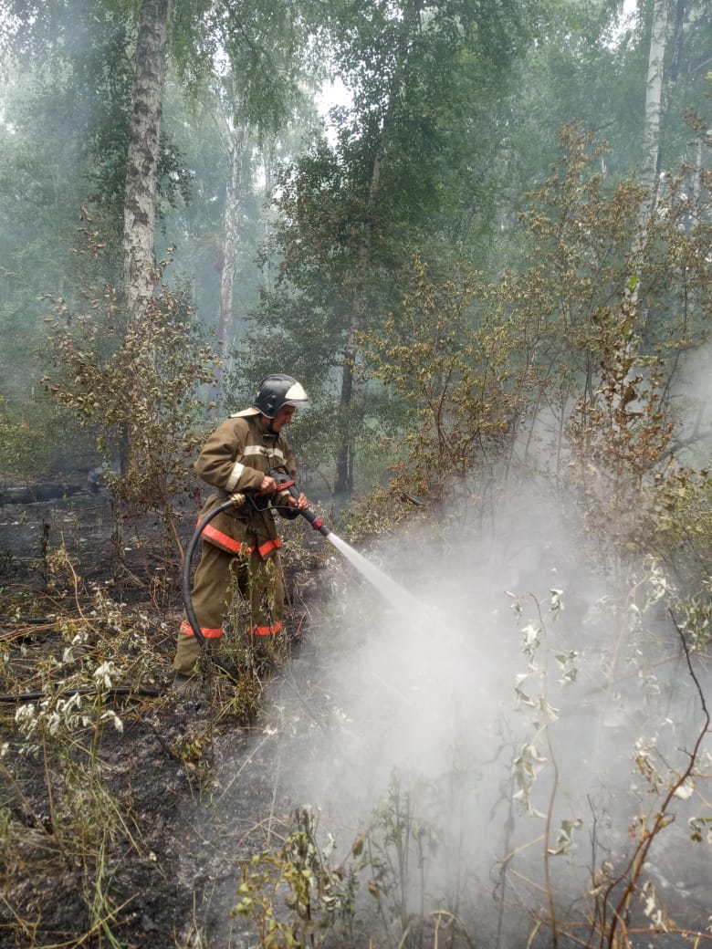 A natural fire on the territory of the Ayyrtau district near the village of Imantau is localized