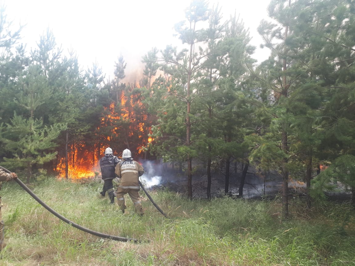 A large forest fire was extinguished in the Kostanay region
