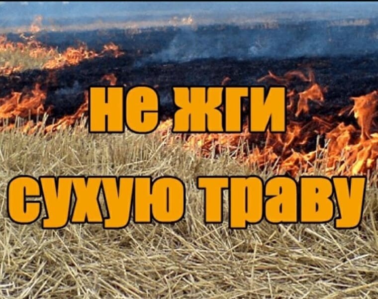 Пожары степных и хлебных массивов Пожары степных и хлебных массивов